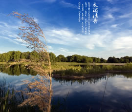 新義水鄉(xiāng)中醫(yī)藥浴康養(yǎng)、黃龍溪古鎮(zhèn)二日游