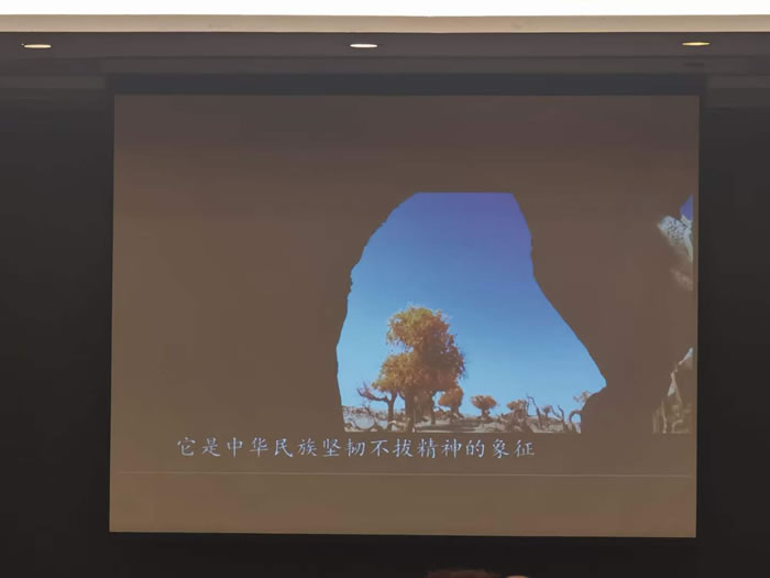 綿陽中旅行假日旅行社舉行胡楊林、南疆專列推薦會(huì)