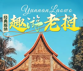 【趣游老撾 · 經(jīng)典版納】—昆明、普洱、西雙版納、磨丁、瑯勃拉邦四動(dòng)8日游