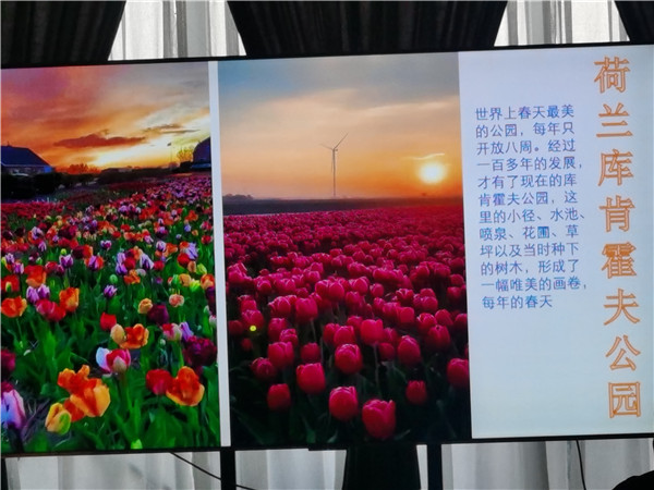 四川中青旅綿陽分社獨(dú)家定制圓夢(mèng)歐洲系列 - 大全景 9 國(guó) 16 天 德國(guó)-法國(guó)-瑞士-意大利-奧地利-荷蘭-比利時(shí)-列支敦士登-盧森堡